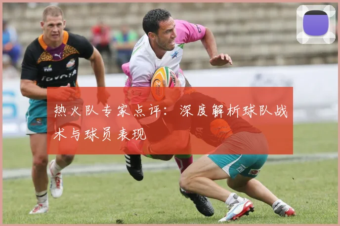 热火队专家点评：深度解析球队战术与球员表现