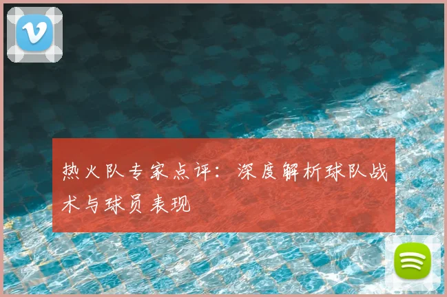 热火队专家点评：深度解析球队战术与球员表现