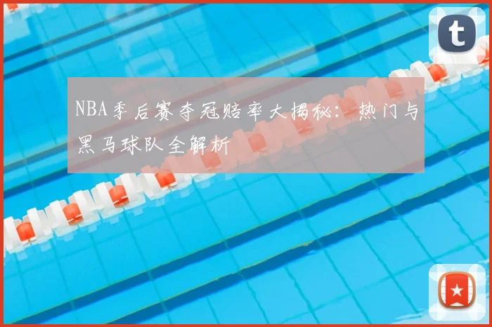NBA季后赛夺冠赔率大揭秘：热门与黑马球队全解析